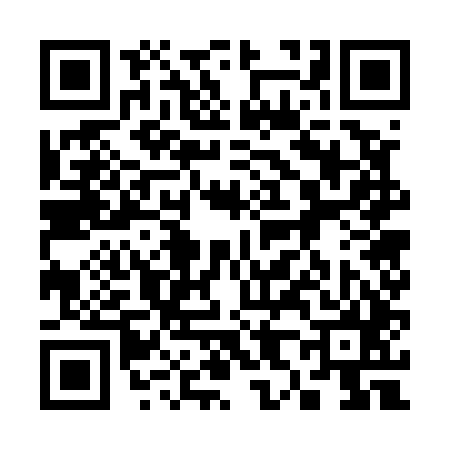 QR code for 387545Z