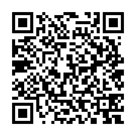 QR code for 3876386