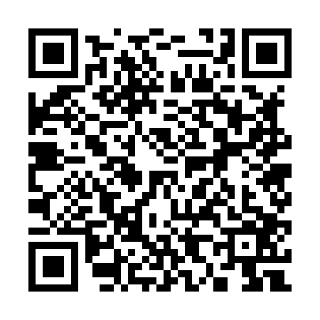 QR code for 3878068