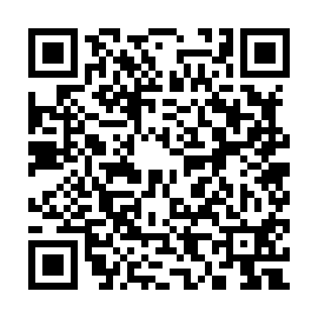 QR code for 387810S