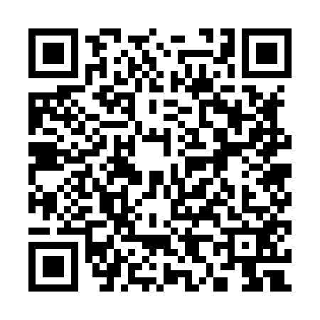 QR code for 3878529