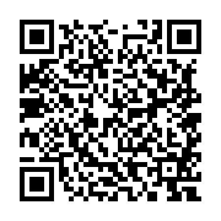 QR code for 3878841