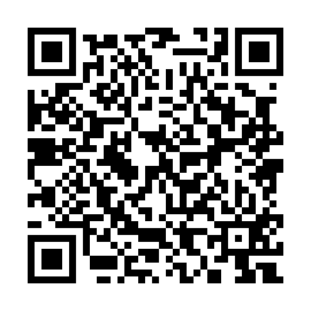 QR code for 388013P
