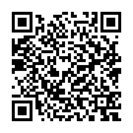 QR code for 3881332