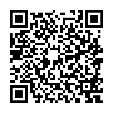 QR code for 3883885