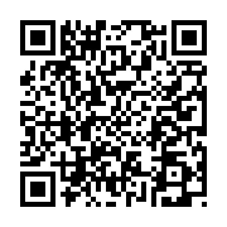 QR code for 3884905