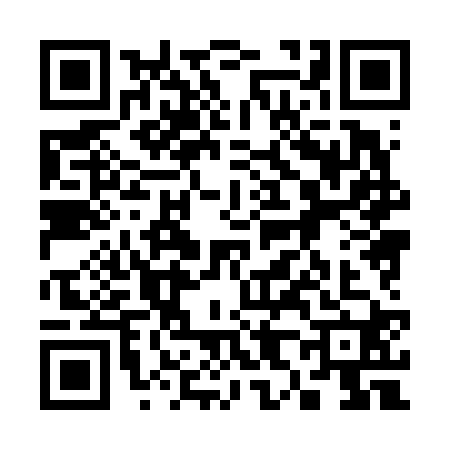QR code for 3886207