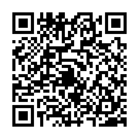 QR code for 3893343