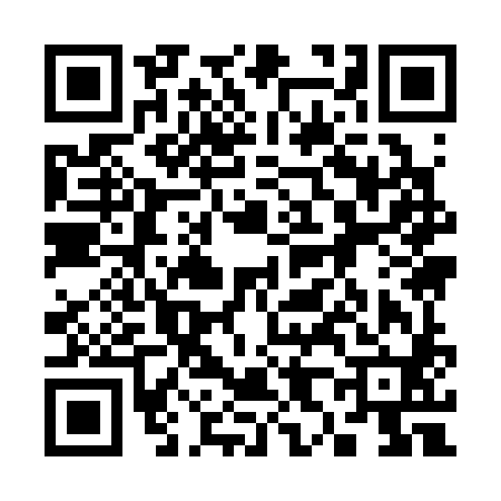 QR code for 389380N