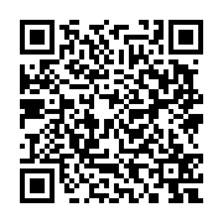 QR code for 3894377