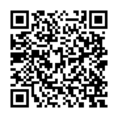 QR code for 389447M
