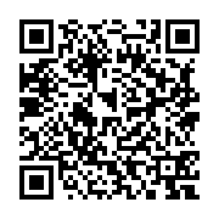 QR code for 389870P