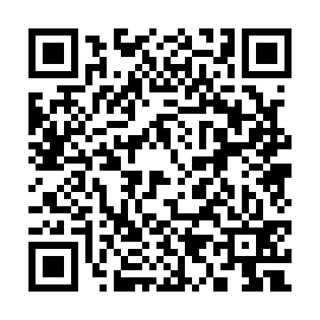 QR code for 390133Z