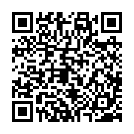 QR code for 390295U