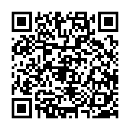 QR code for 390369F