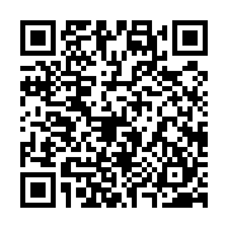 QR code for 3905243