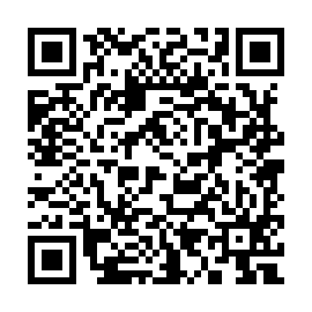 QR code for 390995Z