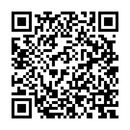 QR code for 393066V