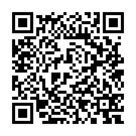 QR code for 393136C