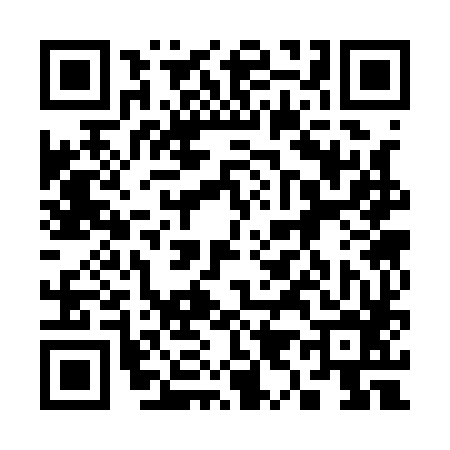 QR code for 393186T