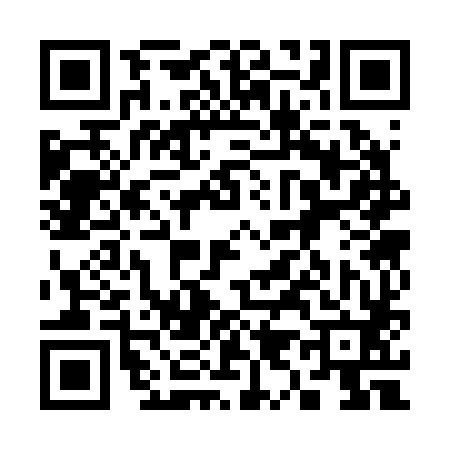 QR code for 393282Y