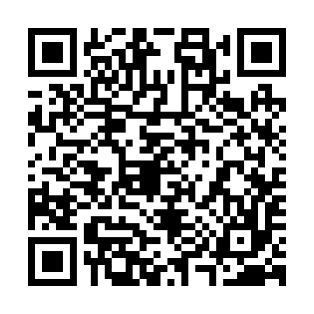 QR code for 393296X