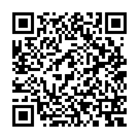 QR code for 393360S