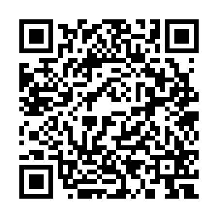 QR code for 393366Z