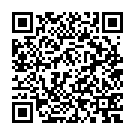 QR code for 393371B