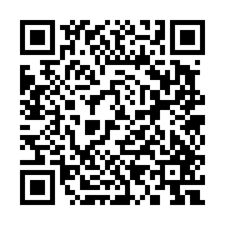 QR code for 393447G