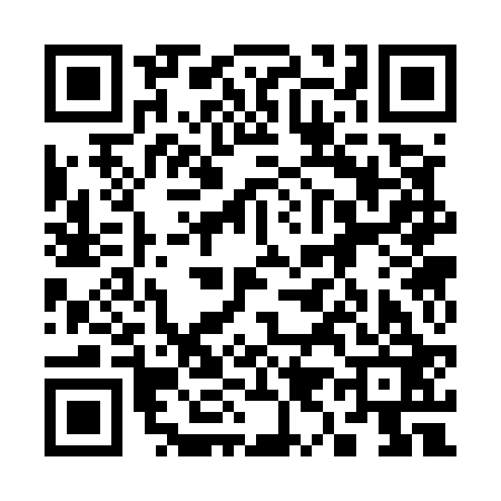 QR code for 393523I