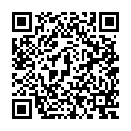 QR code for 393596Y