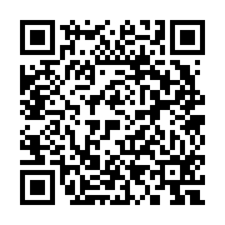 QR code for 393616Z