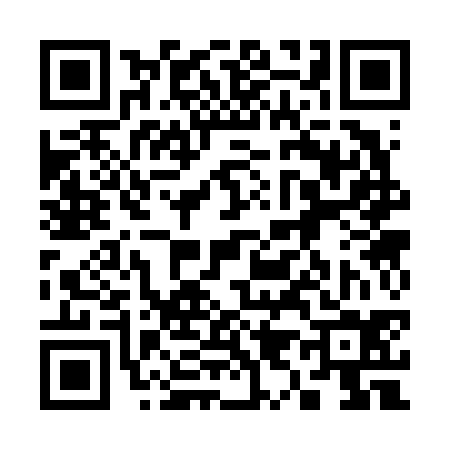 QR code for 393634V