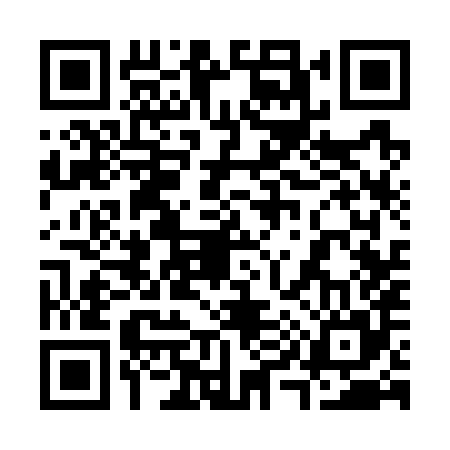 QR code for 393785Q