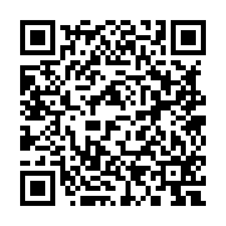 QR code for 393816H