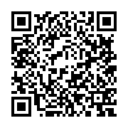 QR code for 393873O