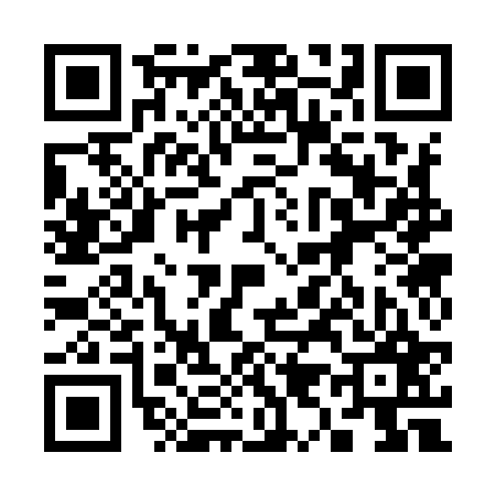 QR code for 393927Q