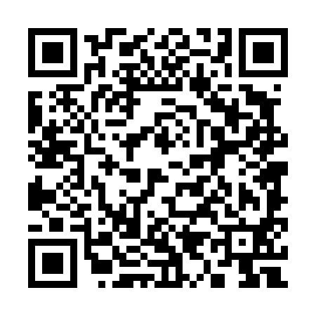 QR code for 394490C