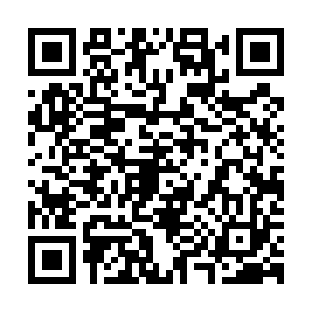 QR code for 394523Q