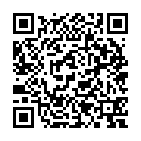 QR code for 395230S