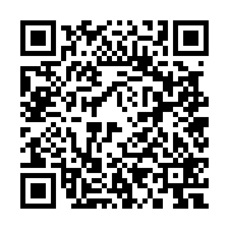 QR code for 397029L
