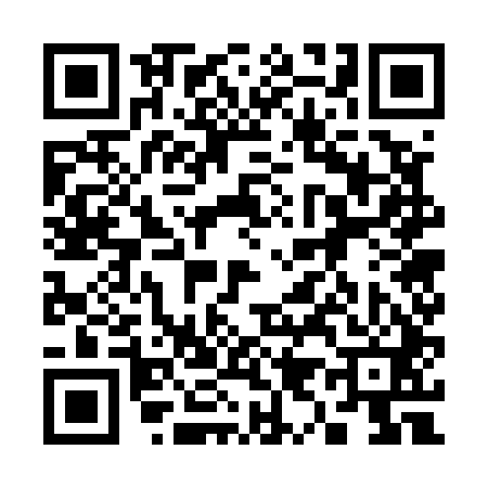 QR code for 397541Z