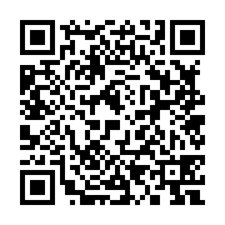 QR code for 397838Z