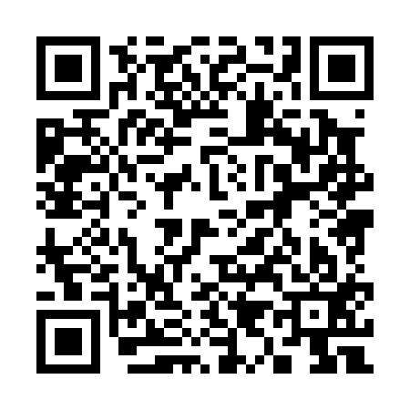 QR code for 398013G
