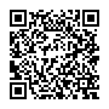 QR code for 399523S