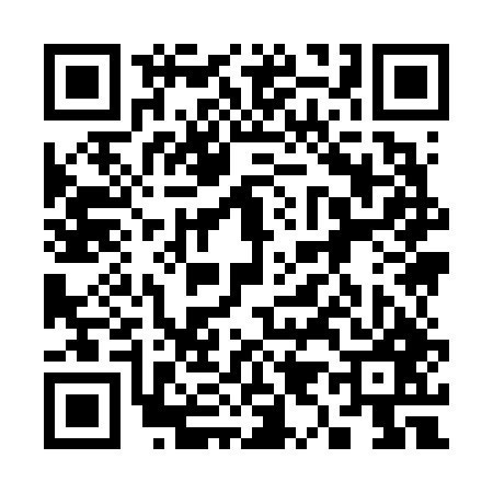QR code for 399647Y