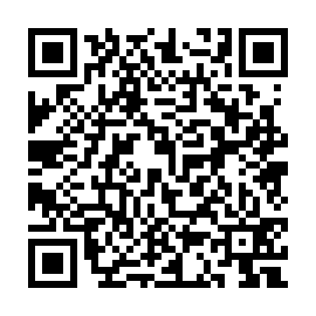 QR code for 3C0333Q
