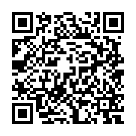 QR code for 3C0463Q