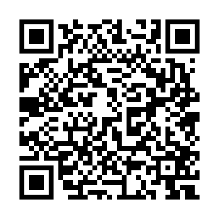 QR code for 3C06065